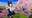 2026-04-20 15:21の投稿