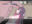2026-04-20 19:37の投稿