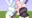 2026-04-26 00:13の投稿