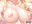 2020-07-10 11:00の投稿