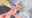 2026-05-09 00:00の投稿