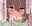 2026-05-01 12:24の投稿