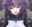 2026-05-12 00:00の投稿
