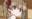 2026-05-04 20:06の投稿