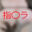 2026-05-11 21:00の投稿