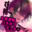 2026-05-09 00:00の投稿
