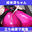 2026-05-20 12:41の投稿