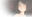 2026-05-10 14:00の投稿