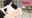 2026-05-10 21:30の投稿