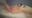 2026-05-20 19:00の投稿