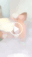 2026-05-12 06:07の投稿