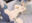 2026-05-12 17:29の投稿