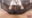 2026-05-15 20:00の投稿