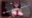 2026-05-14 16:20の投稿