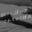 2026-05-14 21:00の投稿
