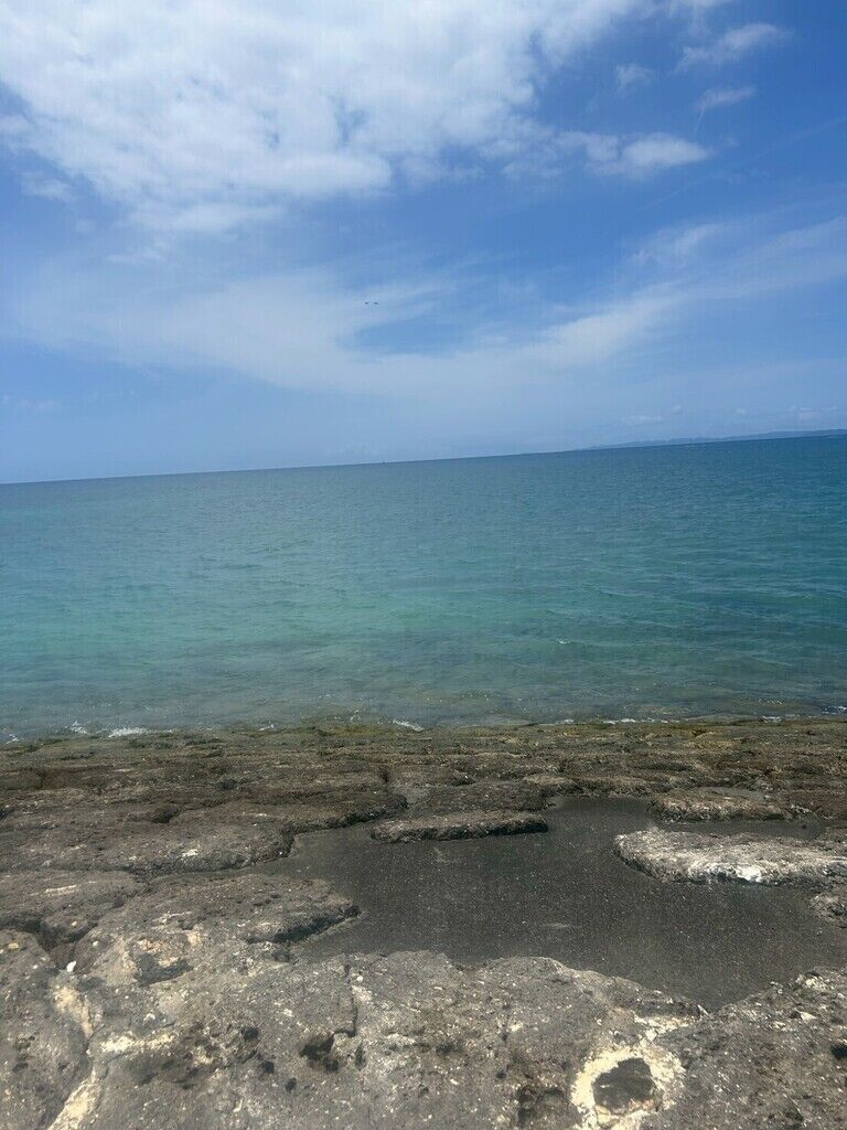【お泊りプラン向け】沖縄旅行のおすそ分け!夏気分を感じられちゃう動画2本💕