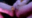 2026-05-19 22:00の投稿