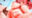 2026-05-20 12:00の投稿