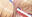 2026-05-19 11:25の投稿