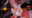 2026-05-19 19:39の投稿