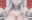 2026-05-20 11:15の投稿