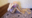 2026-05-20 18:35の投稿