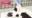 2026-05-25 21:30の投稿