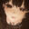 2026-05-26 20:00の投稿