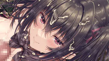 214ed37243