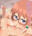 2026-05-29 12:00の投稿
