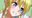 2026-05-29 20:02の投稿