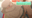 2026-05-29 21:10の投稿