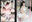 2026-06-15 00:00の投稿