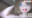 2026-06-01 00:00の投稿