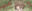 2026-06-01 21:51の投稿