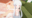 2026-06-04 00:00の投稿