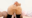 2020-07-18 20:00の投稿