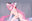 2026-06-06 19:36の投稿