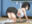 2026-06-12 19:41の投稿