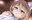 2026-06-17 00:27の投稿