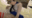 2020-07-19 15:13の投稿
