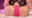 2026-06-18 19:00の投稿