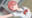 2026-06-19 05:03の投稿