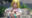 2026-06-19 16:05の投稿
