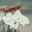 2020-07-19 21:17の投稿