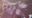 2026-06-20 10:29の投稿
