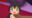 2026-06-21 01:56の投稿