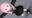 2026-06-21 23:52の投稿