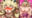 2026-08-08 00:00の投稿