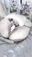 2026-08-27 00:00の投稿